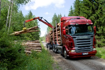 Лесовоз Scania (Скания) - погрузка леса